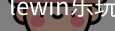 LEwin乐玩官网